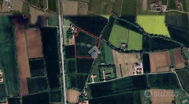 TER. AGRICOLO A CASTELFRANCO VENETO