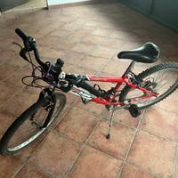 Bici ragazzo 24’