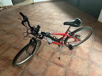 Bici ragazzo 24’