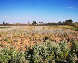 Terreno agricolo 4000 mq zona Birgi