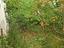 Immagine 11