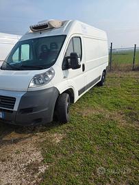 Fiat ducato 2.3 multijet frigo