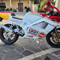 Cagiva mito lucky explorer