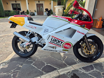Cagiva mito lucky explorer