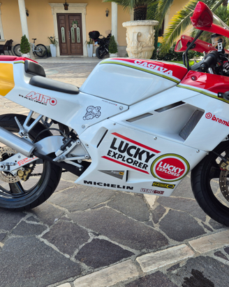 Cagiva mito lucky explorer