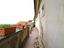 Immagine 29