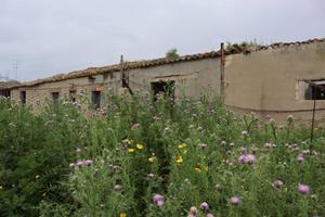 Cascina/Casale - Gela