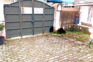 Piano terra al Carmine con Corte e Multiuso