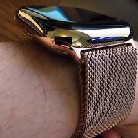 Apple Watch serie 9 acciaio 45mm Cellular Gold