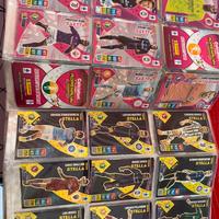 Carte Calciatori panini