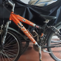 Bicicletta bimbo