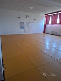 Tatami arti marziali usati