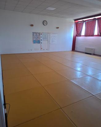 Tatami arti marziali usati