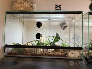 Terrario 50x30x30 come nuovo