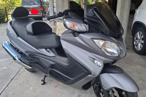 Burgam 650 executive