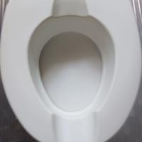 alzata wc  per disabili 