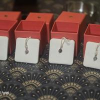 dodo quadrifogli preziosi 