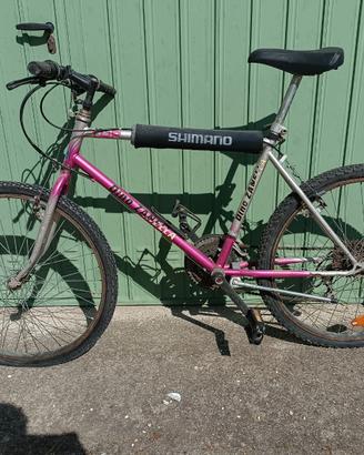 Mountain bike