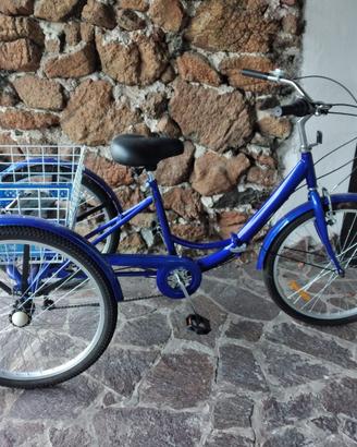 Triciclo per Adulti
