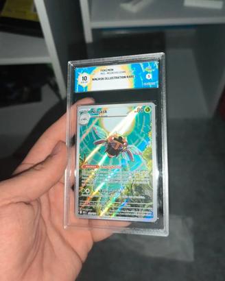 ninjask
