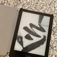 Kindle paperwhite