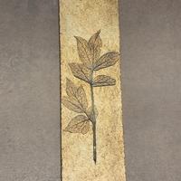 Roger Capron,decori "Herbier Provence"1974,10x35cm