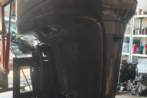 250 Yamaha four stroke 2010