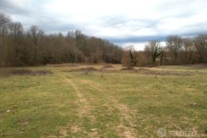 Terreno a Oriolo Romano