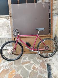 bicicletta