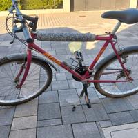 Bici MTB
