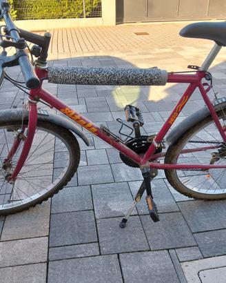 Bici MTB