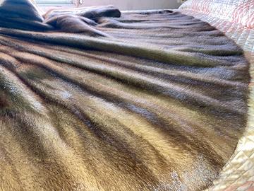 Pelliccia di Visone SAGA