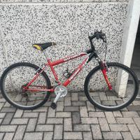 Mountain bike bici ruote da 26