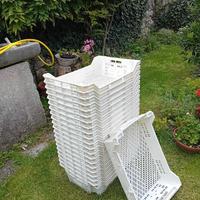 cassette impilabili per raccolta olive