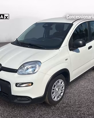 FIAT Pandina New PANDA Panda Serie 7 1.0 70cv...