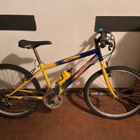 Bici ragazzo da 22 pollici