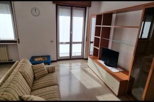 Vedano olona - luminoso trilocale