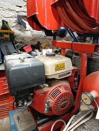 Abbacchiatori per Olive