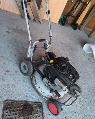 Rasa erba ,taglia erba