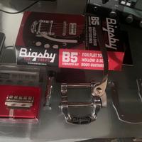 Bigsby b5 USA + v5 e vibramate  & spoiler