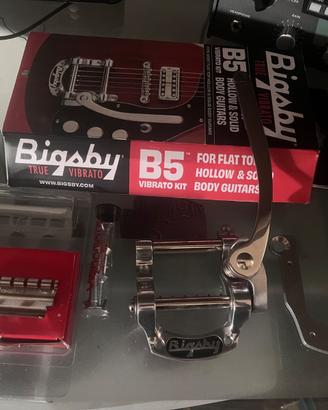 Bigsby b5 USA + v5 e vibramate  & spoiler