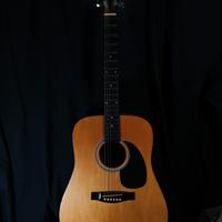 Chitarra acustica florencia