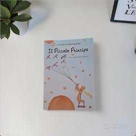Libro il piccolo principe