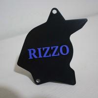 para pignone