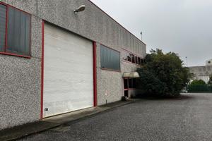 Attività artigianale con capannone a Cremona