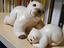 Immagine 1