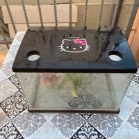 Piccolo acquario