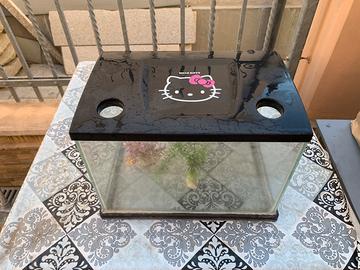 Piccolo acquario