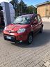 fiat-panda-1-3-mjt-s-s-4x4