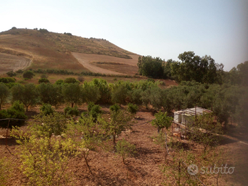 Terreno agricolo